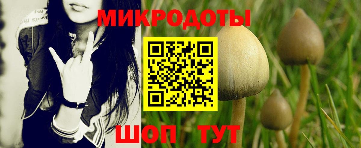 Галлюциногенные грибы MAGIC MUSHROOMS  Вход с VPN  Кызыл 